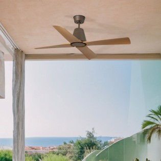 Ventilateur de plafond Typhoon