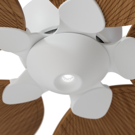 Ventilateur de plafond LED Alma L 5 pales CCT Dim (6W)
