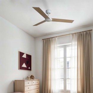 Ventilateur de plafond...