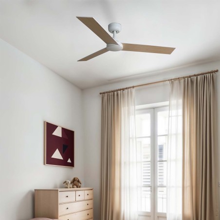 Ventilateur de plafond Rudder S