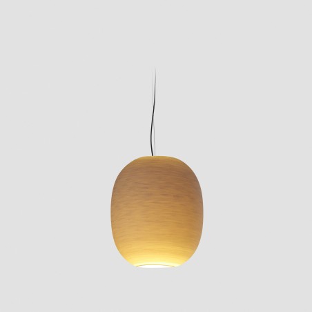 Lampe de plafond Tierra 47