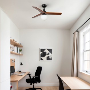 Ventilateur de plafond avec...