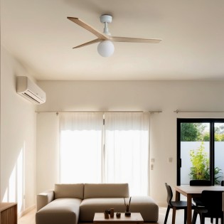 Ventilateur de plafond avec...