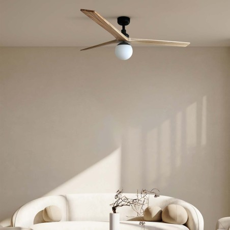 Ventilateur de plafond avec lumière Klim L