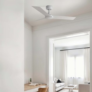 Ventilateur de plafond Cruiser S