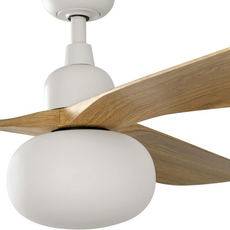 Ventilateur de plafond avec éclairage Outwood L IP44