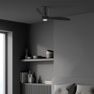 Ventilateur avec lumiere...