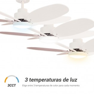 Ventilateur de plafond LED Rainbow M Blanc CCT Dim (18W)