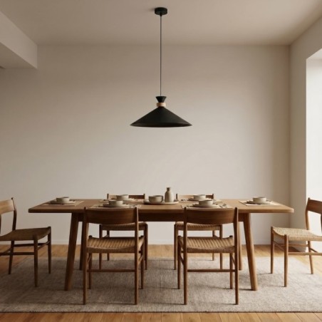 Lampe de plafond Erebo M Noir