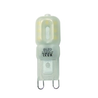 Ampoule LED Réglable G9 (2.5W)