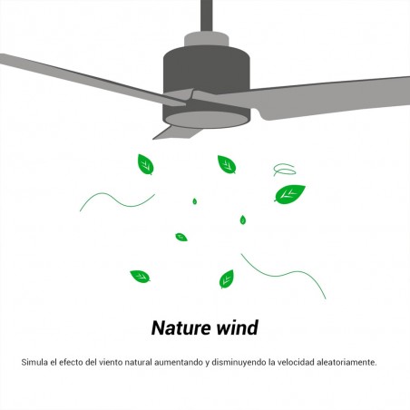 Ventilateur de plafond Anne XXL