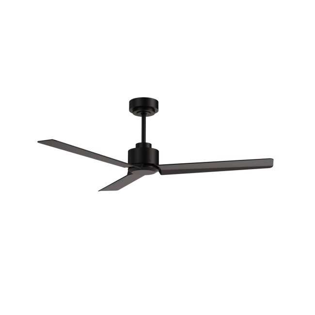 Ventilateur de plafond Anne M