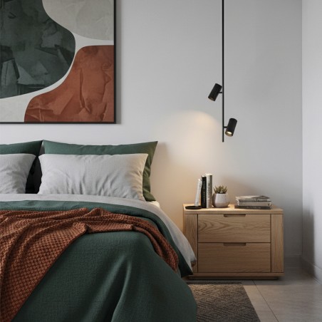 Lampe de plafond Gina (2 lumieres)