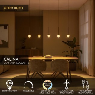 Suspension LED Calina CCT...