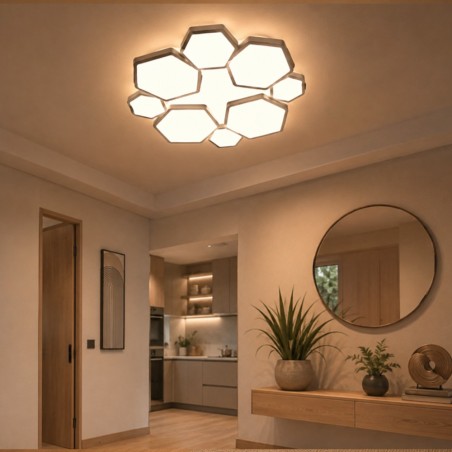 Plafonnier LED Onis CCT Dim Smart (66W)