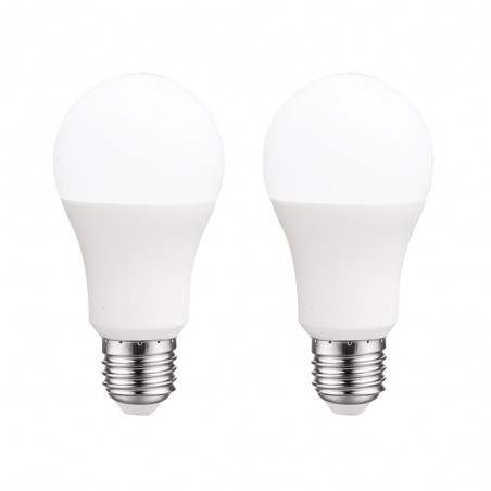 Ampoules LED 6W E27 (4200ºK)