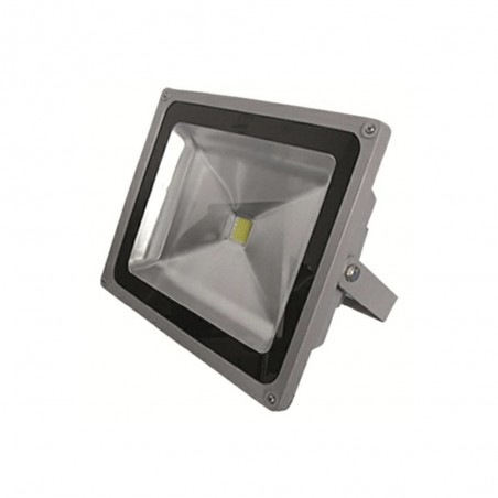 Projecteur LED (10W)