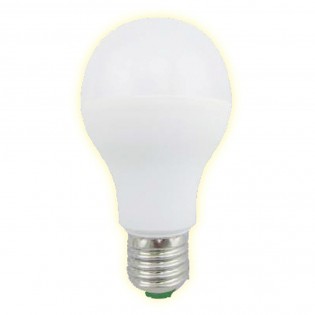 Ampoule LED Standard E27 lumière froide (15W)