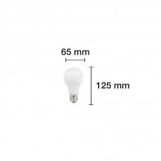Ampoule LED Standard E27 lumière froide (15W)