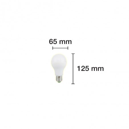 Ampoule LED Standard E27 lumière froide (15W)
