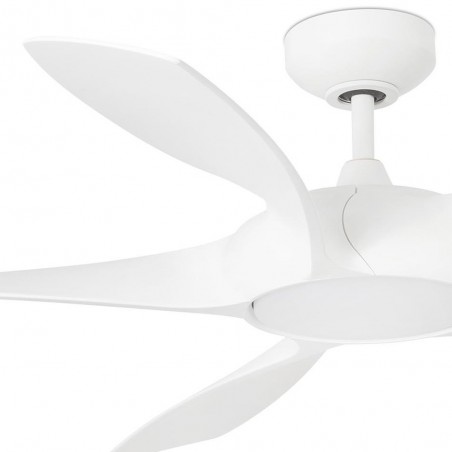 Ventilateur avec lumière Cocos (20W)