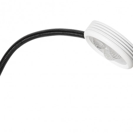 Applique murale LED Malvo (3W)