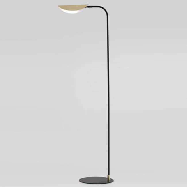Lampadaire Ficus Lampadaire Ficus