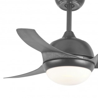 Ventilador de techo Newton