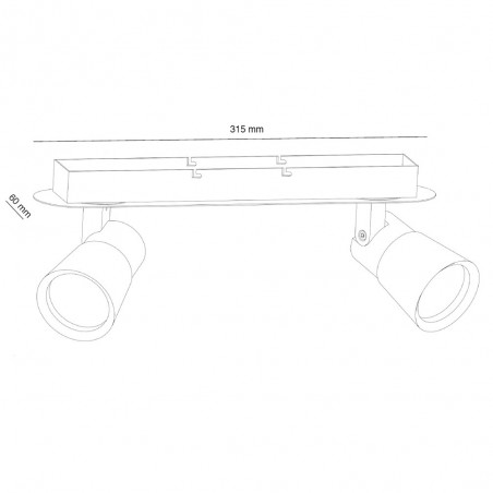Plafón de techo Iris (2 luces)