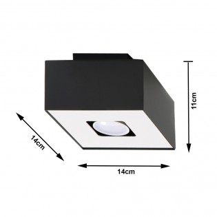 Plafón de techo Mono (1 luz)