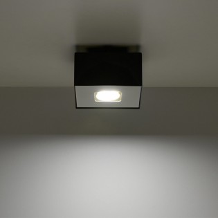 Plafón de techo Mono (1 luz)