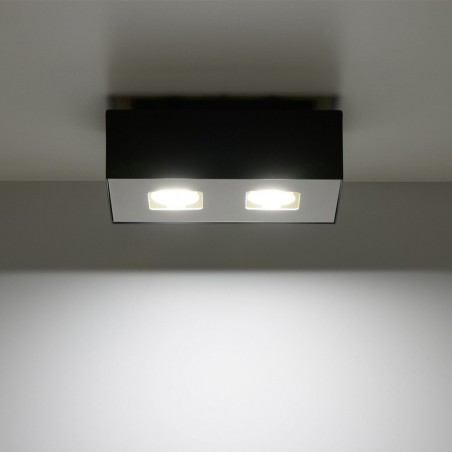 Plafón de techo Mono (2 luces)