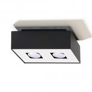 Plafón de techo Mono (2 luces)
