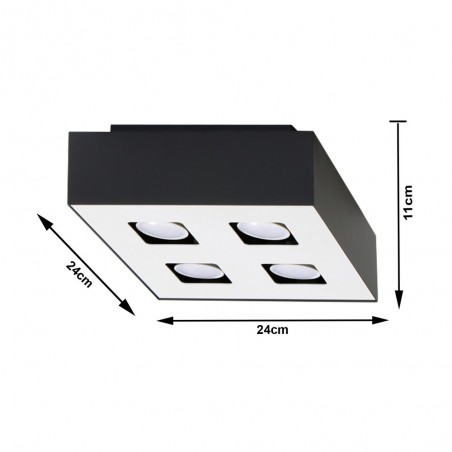 Plafonnier Mono (4 lumières)