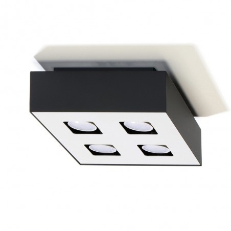 Plafonnier Mono (4 lumières)