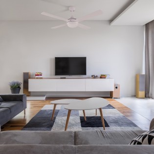 Ventilateur avec lumiere Millar