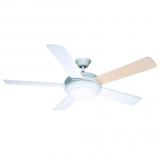 Ventilateur avec lumiere Randy