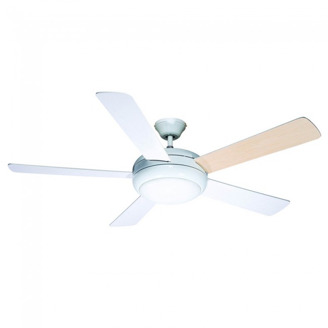 Ventilateur avec lumiere Randy