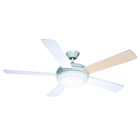 Ventilateur avec lumiere Randy