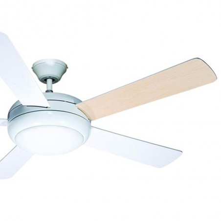Ventilateur avec lumiere Randy