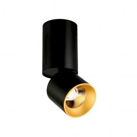 Plafonnier pivotant à LED (10W)