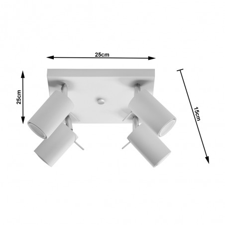 Plafonnier Ring (4 lumieres)