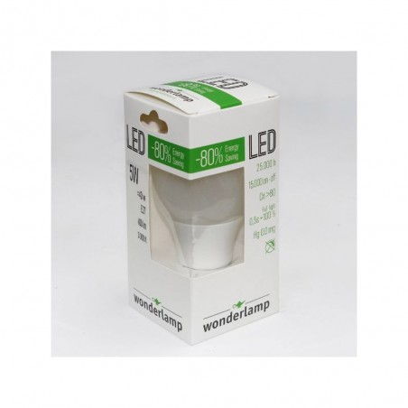 Pack 10 Bombillas LED Estandard E27 (5W - 3000K)
