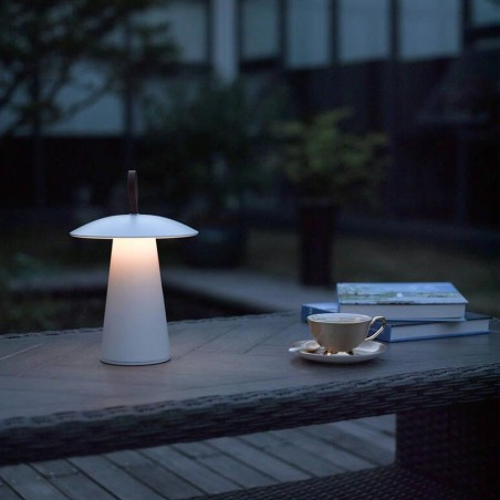 Lampe portable exterieur LED Ara To Go (2W)