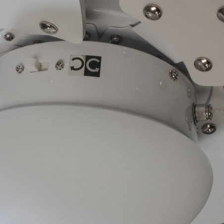 Ventilateur de plafond avec lumiere Orion