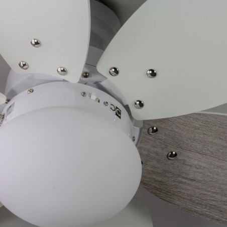 Ventilateur de plafond avec lumiere Orion