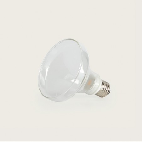 Ampoule LED COB E27 (3W)