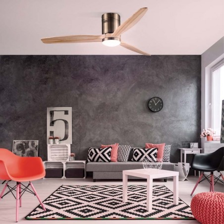 Ventilateur de plafond á LED Won (15W)