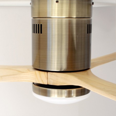 Ventilateur de plafond á LED Won (15W)
