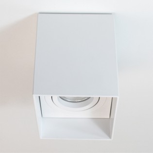 Spot de plafond Classic Blanc